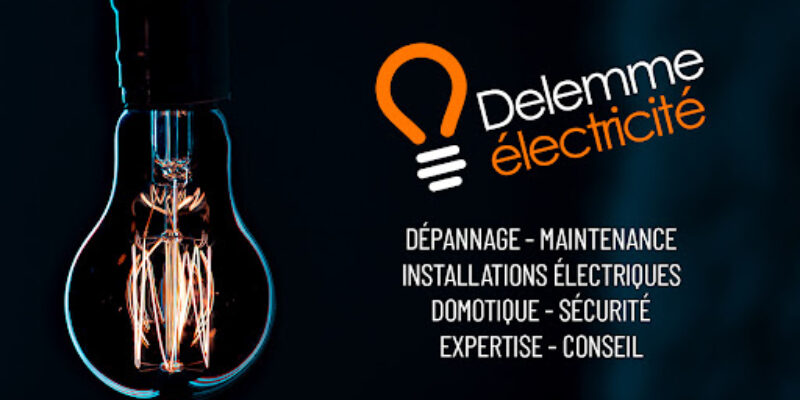 DELEMME ELECTRICITE