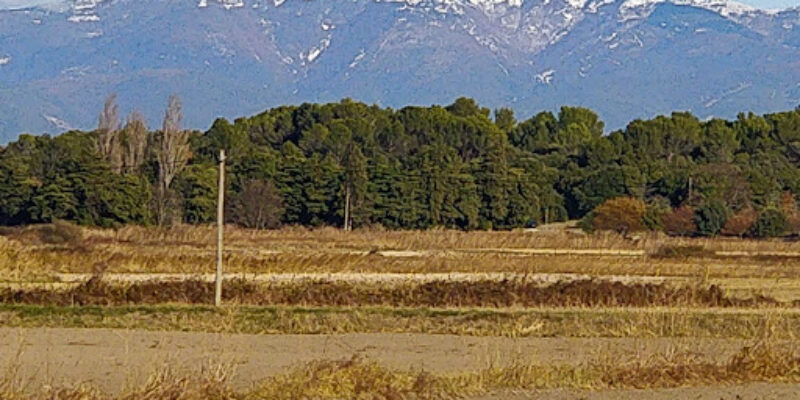 Drôme Eco Energie