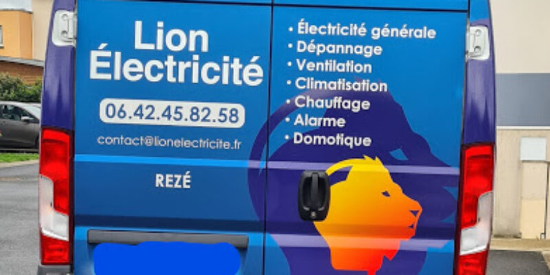 Lion Electricité