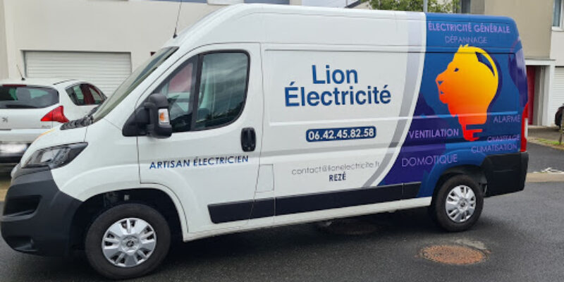 Lion Electricité